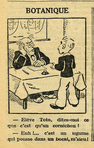 Le Petit Illustré 1933 - n°1477 - page 4 - Botanique - 29 janvier 1933