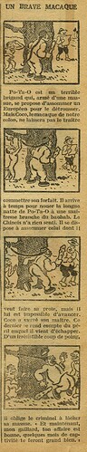 Cri-Cri 1930 - n°606 - page 2 - Un barve macaque - 8 mai 1930