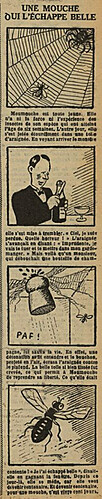 Fillette 1931 - n°1233 - page 13 - Une mouche qui l'échappe belle - 8 novembre 1931
