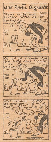 Coeurs Vaillants 1937 - n°36 - page 8 - Une plante bizarre - 5 septembre 1937