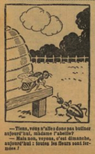 Fillette 1929 - n°1107 - page 15 - Tiens, vous n'allez donc pas butiner aujourd'hui, madame l'abeille - 9 juin 1929