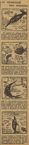 Fillette 1929 - n°1107 - page 14 - La vengeance des poissons - 9 juin 1929