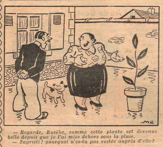 Almanach National 1933 - 63 - mardi 19 décembre 1933 - Regarde Eusèbe comme cette plante est devenue belle