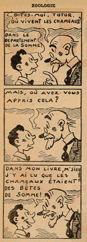 Pierrot 1936 - n°20 - page 2 - Zoologie - 17 mai 1936