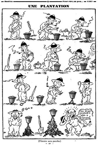 Rustica 1930 - n°49 - page 27 - Une plantation - 7 décembre 1930