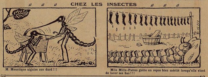 Lisette 1936 - n°2 - page 2 - Chez les insectes - 12 janvier 1936