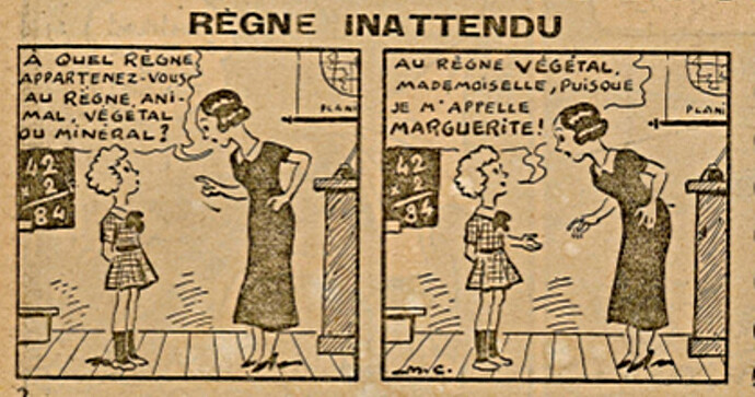 Ames Vaillantes 1938 - n°24 - page 2 - Règne inattendu - 16 juin 1938