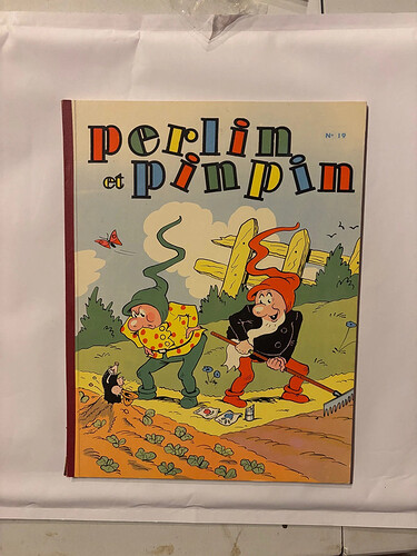 reliure perlin et pinpin 19