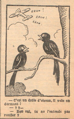 Fillette 1932 - n°1247 - page 12 - C'est un drôle d'oiseau - 14 février 1932