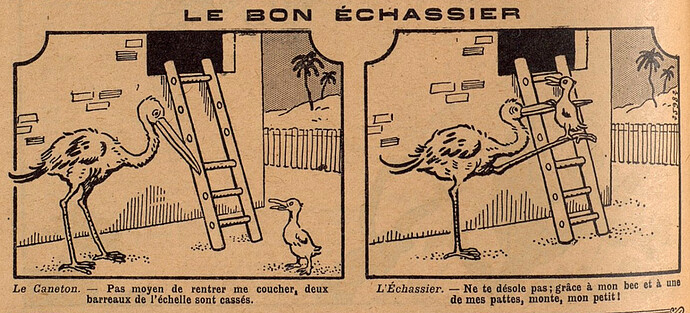 Lisette 1928 - n°361 - page 2 - Le bon échassier - 10 juin 1928