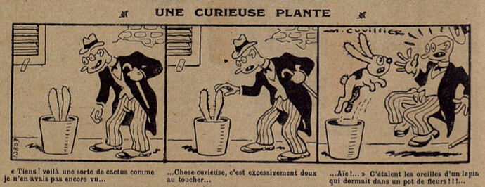 Lisette 1935 - n°35 - page 2 - Une curieuse plante - 1er septembre 1935