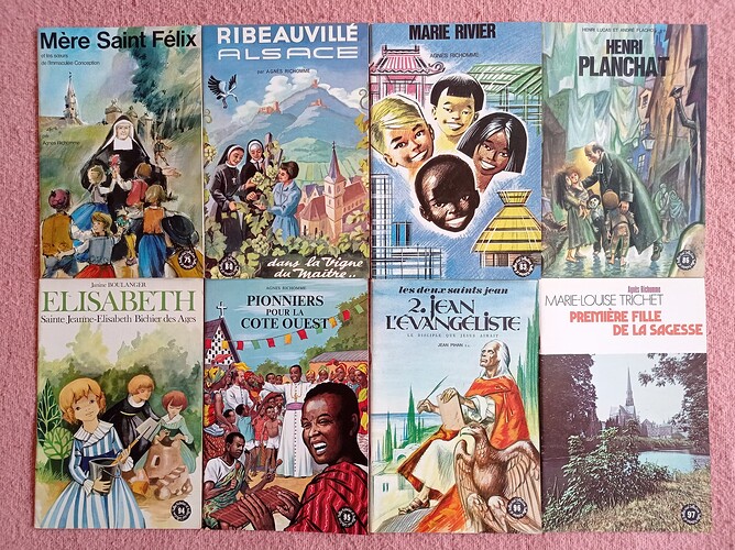 belles histoires et belles vies suite