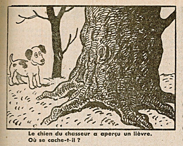 Ames Vaillantes 1938 - n°8 - page 7 - Le chien a aperçu un lièvre - 24 février 1938