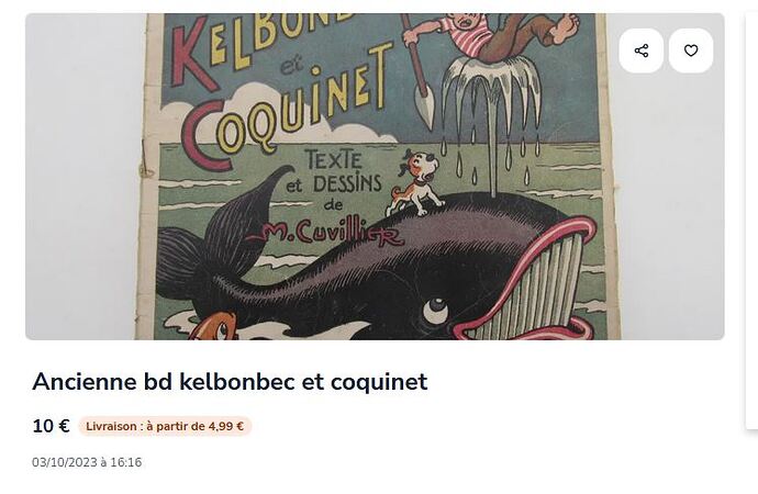 Capture Kelbonbec Le Bon Coin